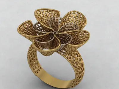 ring wire 3D print model