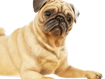 Pug figurine in a funny lying pose 3D model