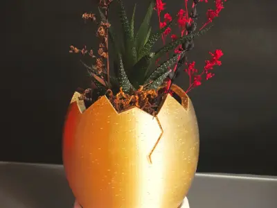 Egg Shaped Mini Planter for Succulent and Plants  3D print model