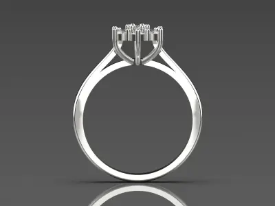 bride flower diamond ring fr0044 3D print model