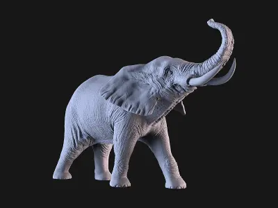 Elephant 3D print model shop