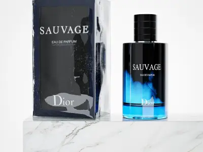 Christian Dior Sauvage Pack Free 3D model