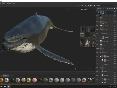 Humpback whale Low-poly 3D model