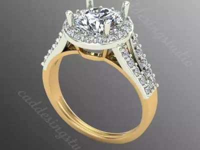 Ring bi107 3D print model