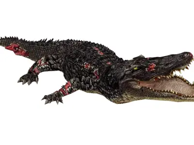 Animated Injured Alligator Rigged Low-poly 3D model