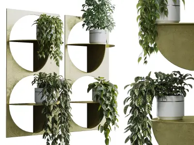 wall plant - set Indoor plant 365 plants in on a shelf Low-poly 3D model