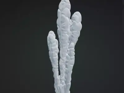 Seaweed 3D Model Realistic Marine Plant Free 3D print model