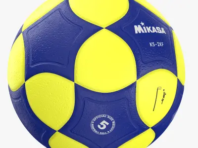 Mikasa Korfball Ball 3D model