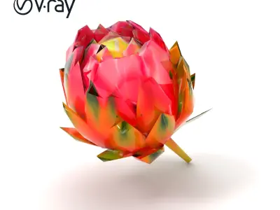 Vivid Protea Flower Model Pack Low-poly 3D model