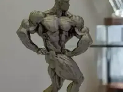 Muscular warrior  3D print model