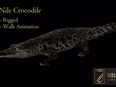 Nile Crocodile Low-poly 3D model