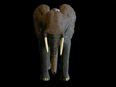 Elephant African PBR texture 3D model