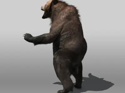 Grizzly Bear Low-poly 3D model