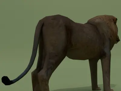 LowPoly Lion Low-poly 3D model