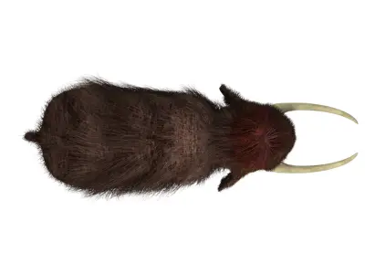 Mammoth woolly with long tusks Low-poly 3D model