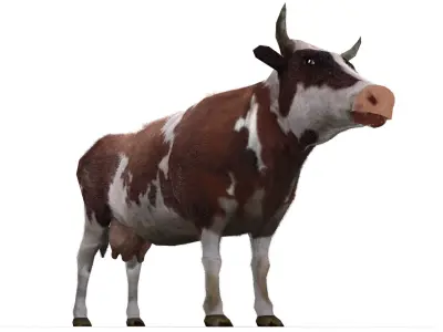 Dairy Cow Low-poly 3D model