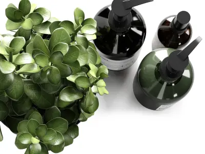 Bathroom decorative set with salt 3D model