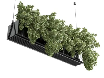 collection Indoor plants hanging pot metal bax vase 06 3D model