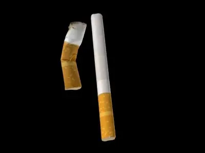 Cigarette kit - 2 models 3D model