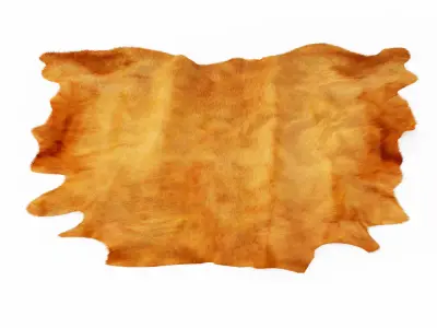 Brown Cowhide Rug 3D model