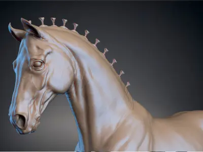 Horse Andalusian  - TPose 3D model
