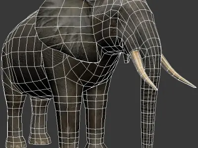 Elephant and Rhino Low-poly 3D model