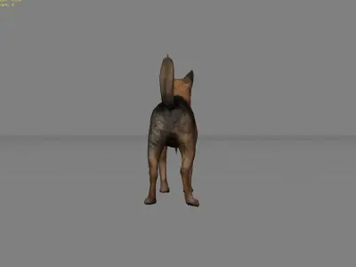 Dog Animal Low-poly 3D model