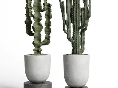 collection indoor plant 62 concrete vase cactus pot 3D model