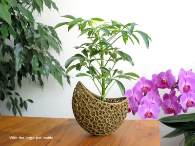 A burgeoning capsule Planter 3D print model