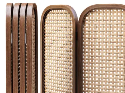 Sofia Decorative Rattan Screen  3D model