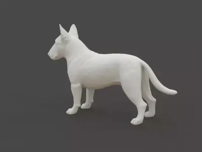 Bull Terrier 3D print model