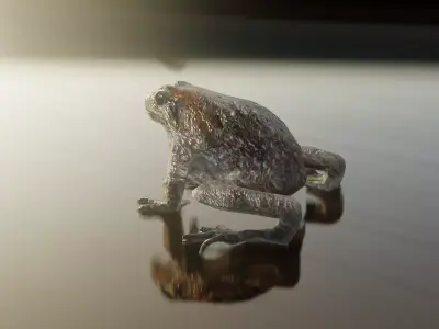 Cururu Toad 3D Model - Rhinella marina Low-poly 3D model