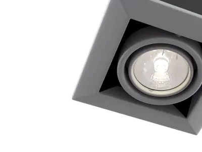 Downlight Metal Modern DL008-2-01-S Maytoni Technical Free 3D model