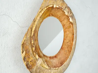 Baga Old Wood Bowl Mirror 3D model