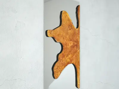 Teak Root Mirror 5 3D model