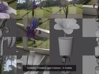 Collection Flower in vase 3 pieces 