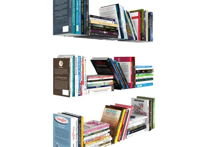 110 different books 1 3D model