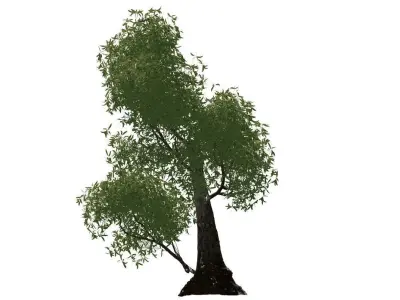 Decorative Out Door Tree Low-poly 3D model
