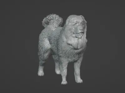 Caucasian Shepherd Dog 3D model