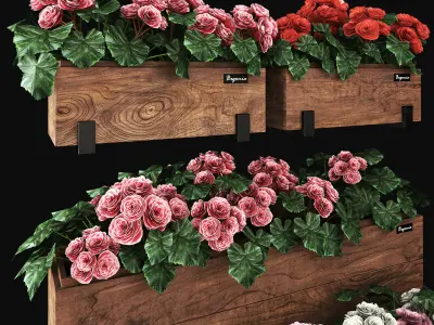 Begonia planter 3D model