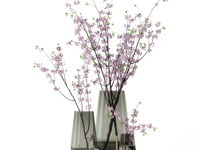 Cherry blossom in Echasse Vases 3D model