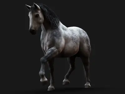 Horse Dapple Grey RIG  XGEN 3D model