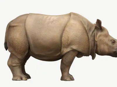 Indian Rhinoceros  Low-poly 3D model
