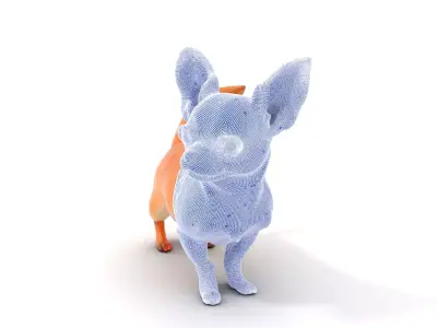 Charming Chihuahua model pack Low-poly 3D model