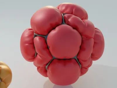 Organic Spheres 3D model