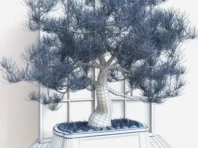 Bonsai set  sakura coniferous deciduous 3D model