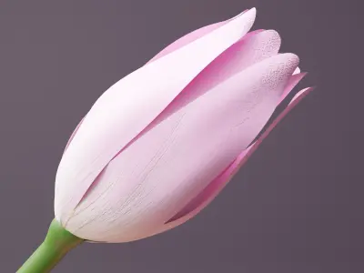 Tulips vase Low-poly 3D model