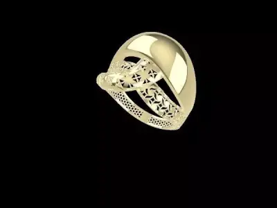rings 3D print model 16