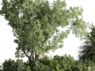 Concrete box plants on stand set indoor 385 Low-poly 3D model