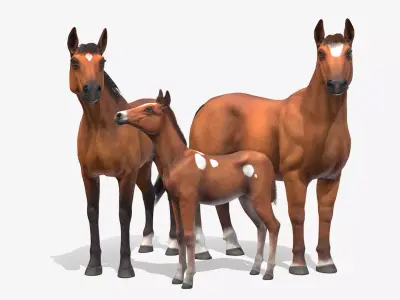 Horse Family Low-poly 3D model